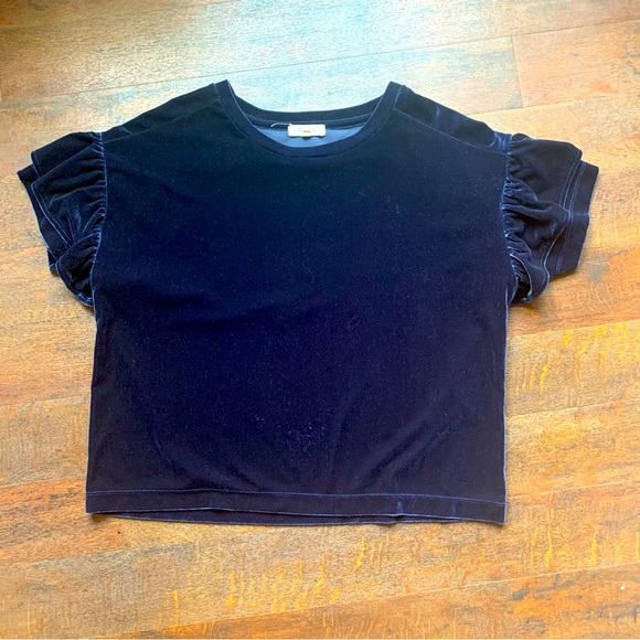 Madewell velvet ruffle sleeve top - Picture 5 of 7